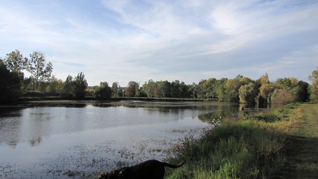 Rochefort sur loire (97)